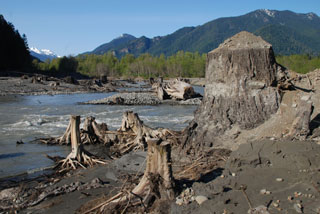 Image for Visiting the Elwha (WA)