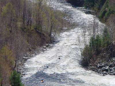 Image for Annual West River Release Bittersweet (VT)
