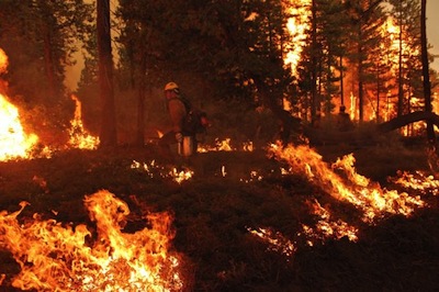 Image for Congress Proposes To Log Yosemite After Rim Fire
