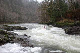 Image for Western Oregon BLM Lands and Rivers: Community Listening Sessions