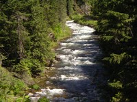 Image for AW Objects to Faulty Wild and Scenic Analysis in MT & ID