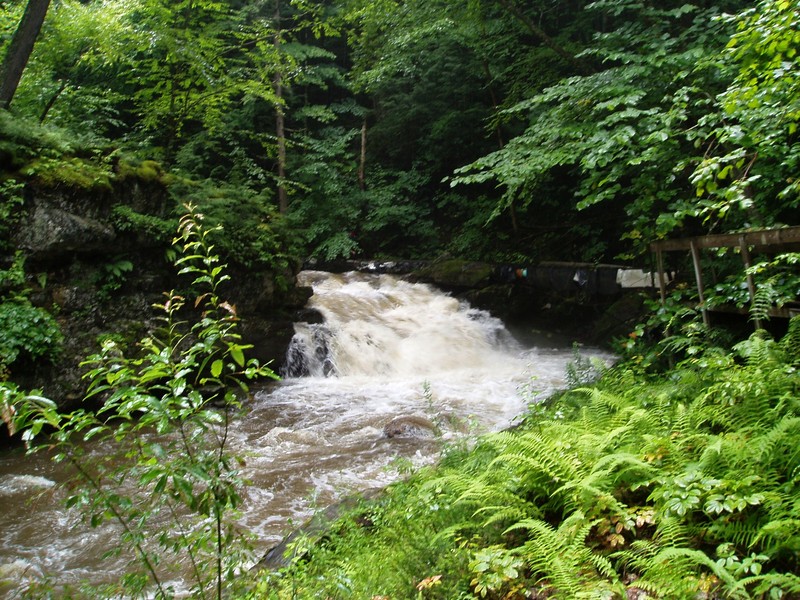 Image for AW Testifies on Vermont Low-Impact Hydro