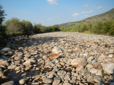 Image for Take Action TODAY to Support Healthy Rivers in Colorado!