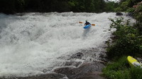 Image for West Fork Tuck Beta and Alert (NC)