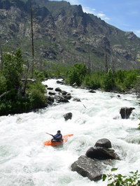 Image for East Rosebud Creek (MT) Proposed for Wild and Scenic Designation!