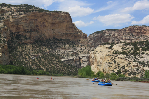 Image for Balance energy development and river health