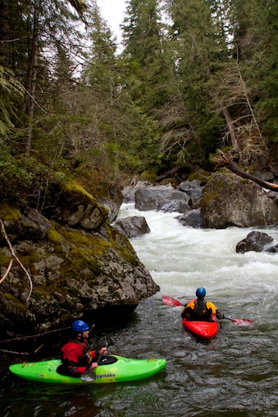 Image for Help Support AW's Work to Protect and Restore Rivers!