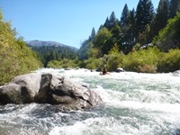 Image for PIT 5 Whitewater Releases Rescheduled for Sept. (CA)