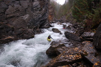 Image for Sullivan Creek (WA) Releases Begin September 3, 2014