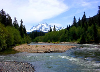 Image for Seattle Wild Rivers Night