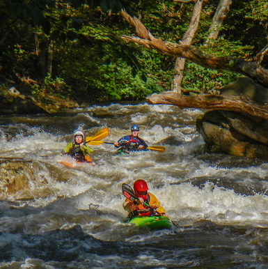 Image for Adventuresport Institute Completes Successful Savage River Release Season