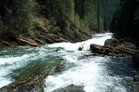 Image for AW Wins Forest Service Appeals - Rivers to Benefit (ID & MT)
