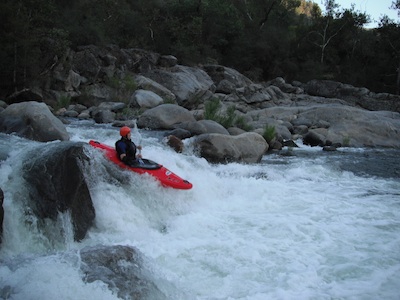 Image for AW Weighs in on Forest Planning Process in California