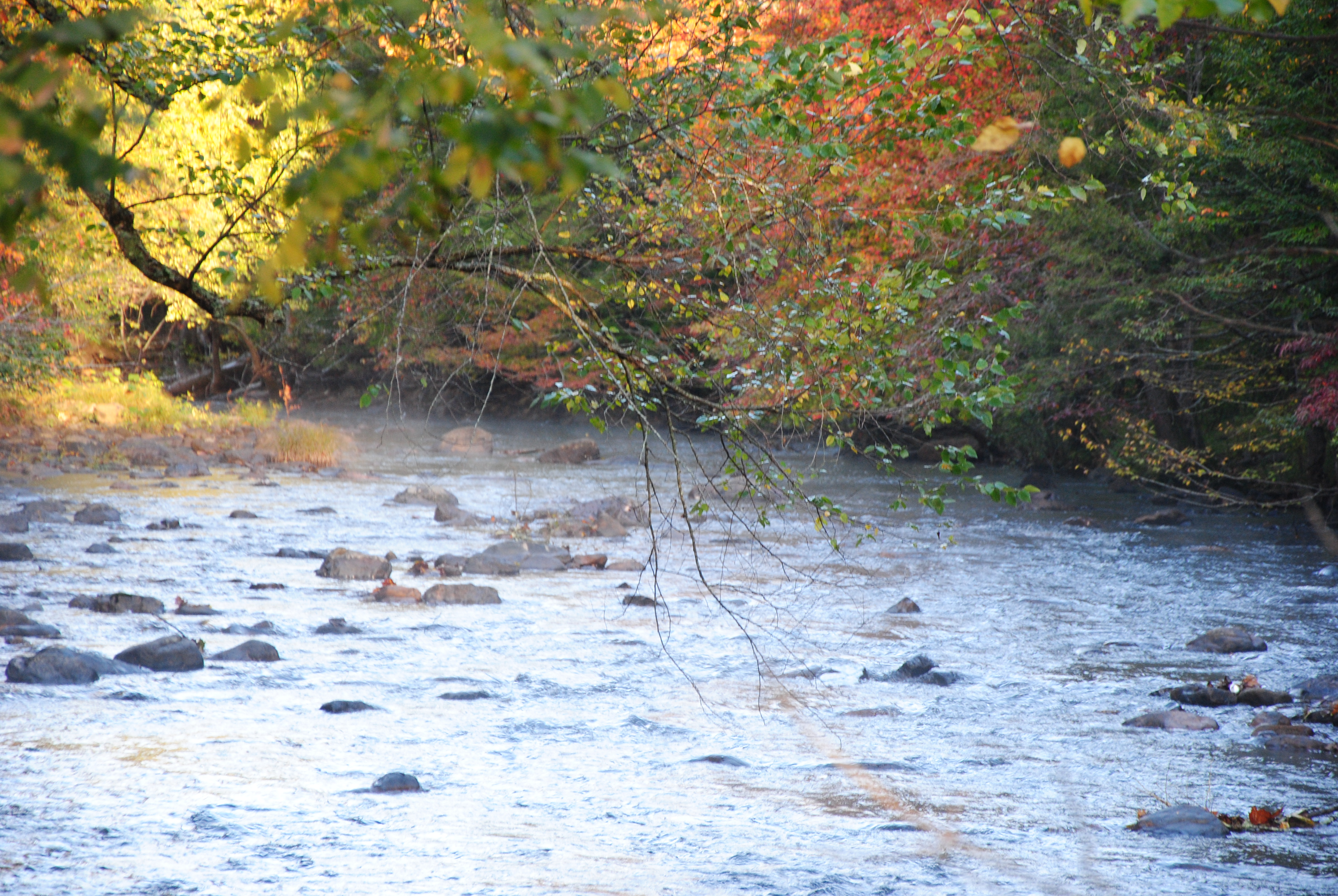 Image for Virginia Stream Access Check-In