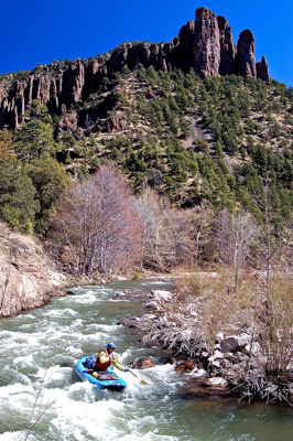 Image for Take Action: Tell New Mexico's Governor to STOP the Gila River Diversion!