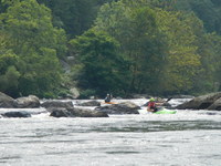 Image for 2015 French Broad River Festival (NC)