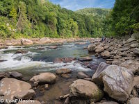 Image for Cheat Festival (WV) Coming May 2nd