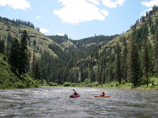 Image for Participate in Our Survey of Oregon Whitewater