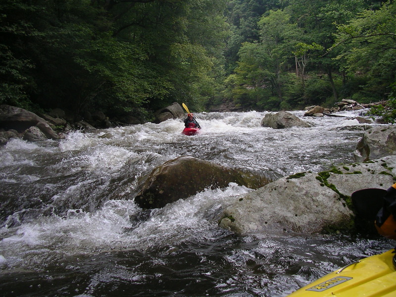 Image for Savage River Releases Coming Up