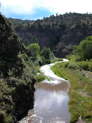 Image for Save the Gila River
