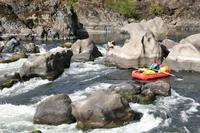 Image for Join American Whitewater for a River Trip on the Wild and Scenic Rogue River