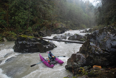 Image for Sultan River (WA) Release November 1st!