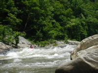 Image for Great Opportunity to Protect NC Streams