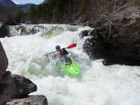 Image for Help Protect Streams on Montana's Lewis and Clark National Forest