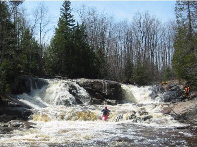 Image for Help Preserve the Yellow Dog (MI)