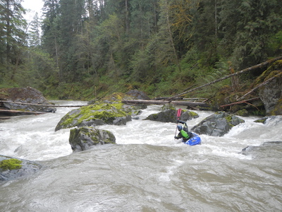 Image for Sultan River (WA) Release April 23rd!