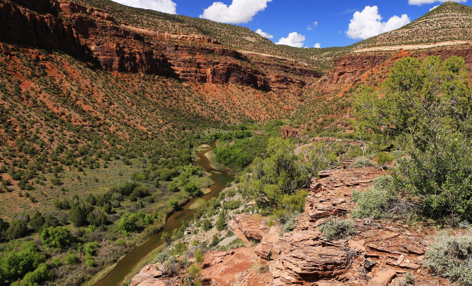 Image for Recap of the 2016 Dolores River boating season.