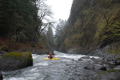 Image for Oregon Seeks Comment on Chetco and Molalla State Scenic Waterways