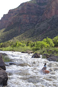 Image for Comments Needed for Dolores River Wild & Scenic Suitability (CO)