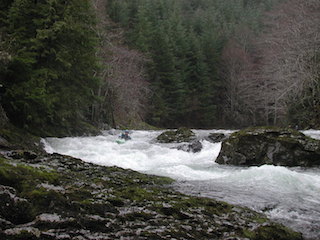 Image for New Dam Proposed for Chehalis River (WA)
