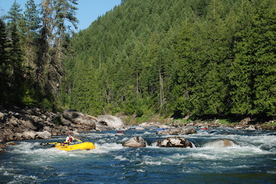Image for TAKE ACTION! Restore the Snake River (WA)