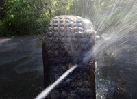 Image for Help Keep Invasive Species From Threatening Rivers and Access