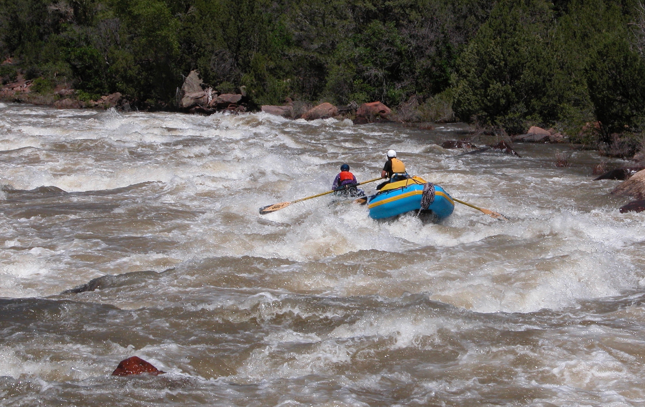 Image for Dolores River Update - April 27th