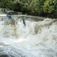 Image for NC National Forests to Host Summer Meetings on Plan Ideas