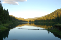 Image for Dam Removal on Sullivan Creek Begins Next Week! (WA)