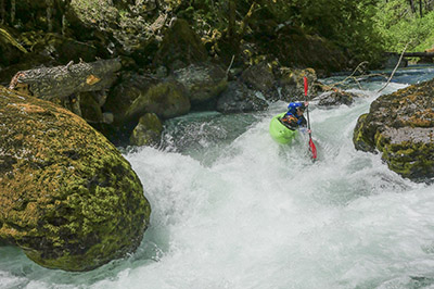 Image for Take Action for Oregon's Nehalem, SF Umpqua and NF Santiam!