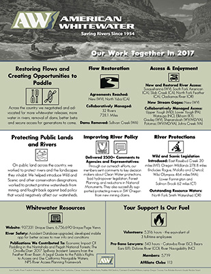 Image for Check Out How Much We Accomplished Together in 2017!