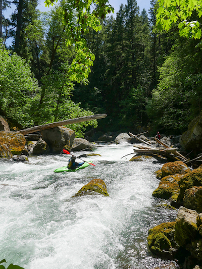 Image for Take Action for Oregon's South Umpqua!