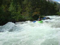 Image for Releases on Bear (ID) and West Rosebud (MT) Coming Up