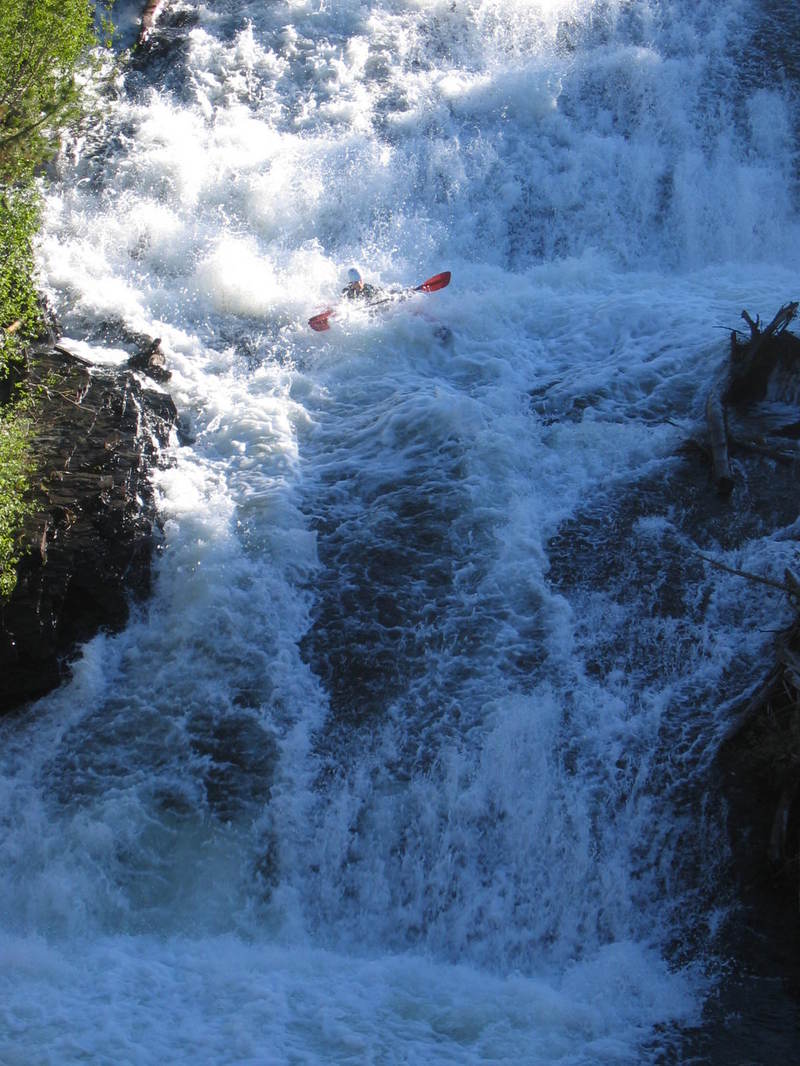 Image for AW Comments on Colorado Nat'l Forest Wilderness Process