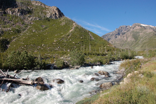 Image for We Need YOU! Support Our Stewardship Work in 2019