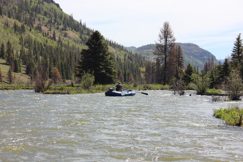 Image for Flow Survey Announced For Rio Grande And Conejos Rivers (CO)