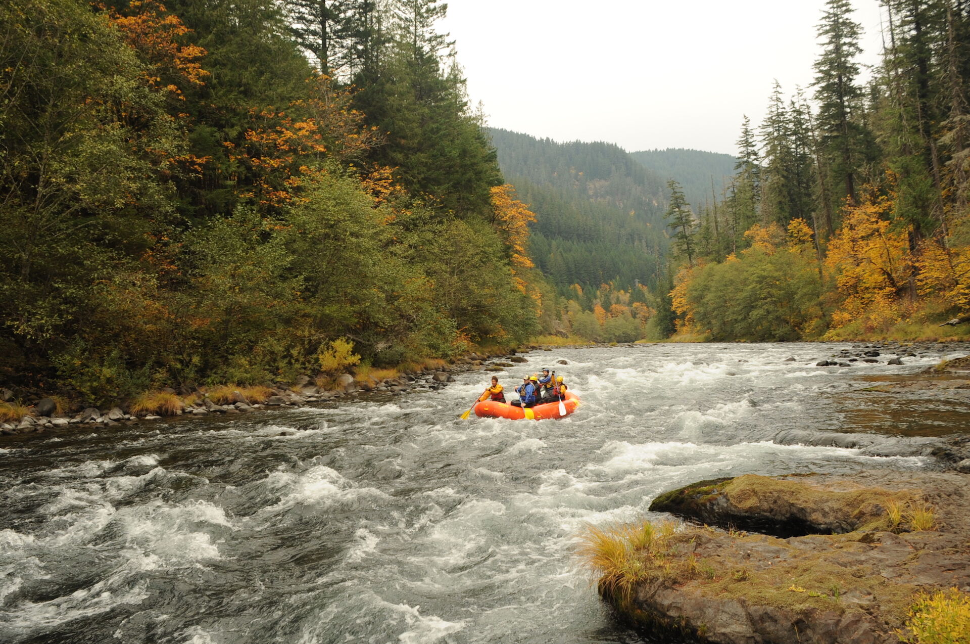 Image for Clackamas River flow information survey