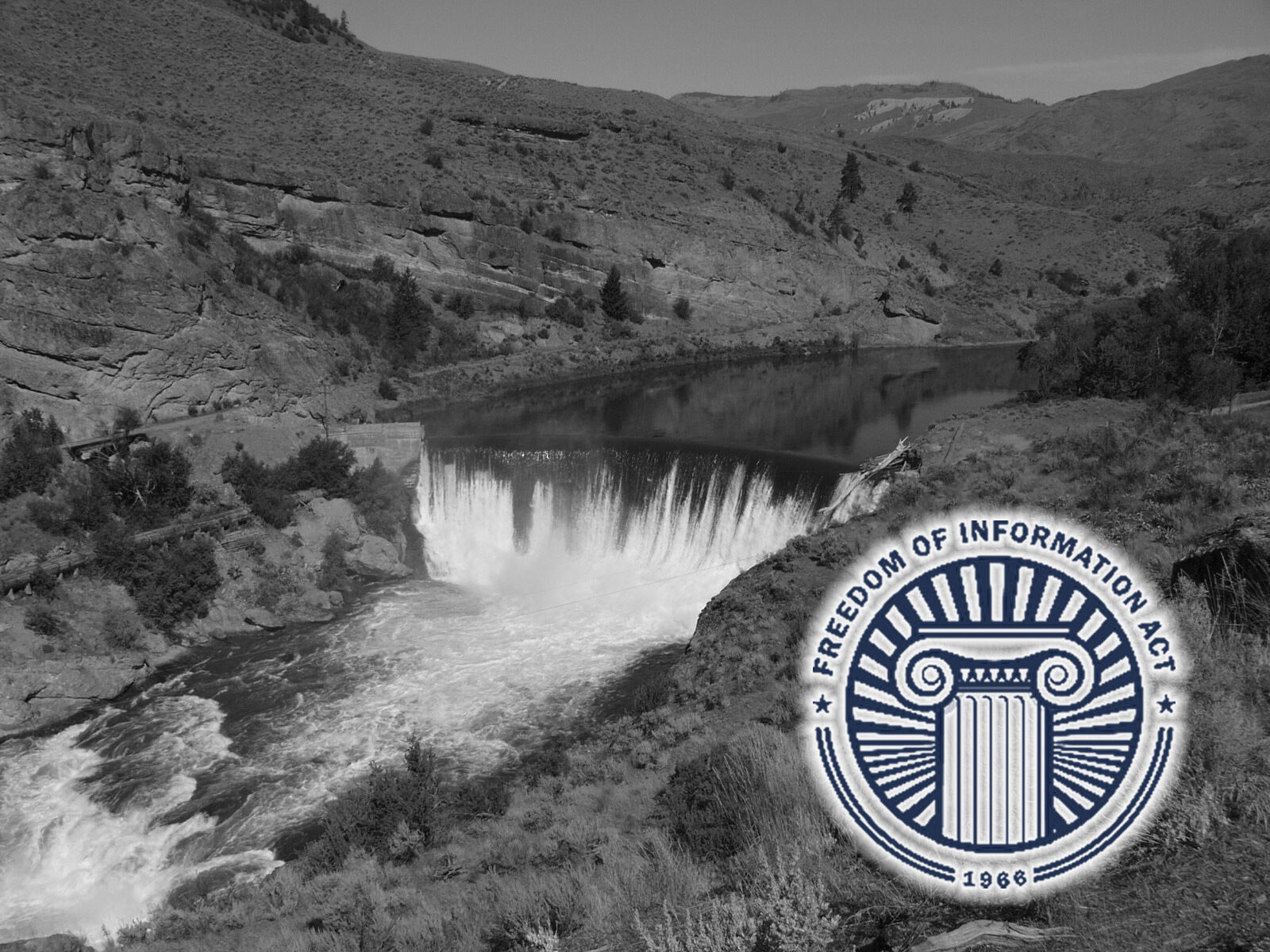 Image for Comments Needed on DOI Changes to Freedom of Information Act Requests!