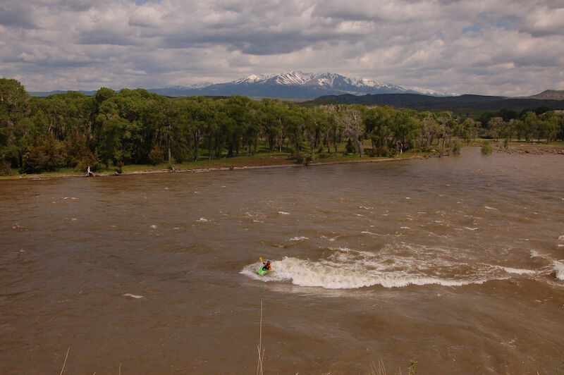 Image for AW Scholarship Announced for Creative Advocacy Program