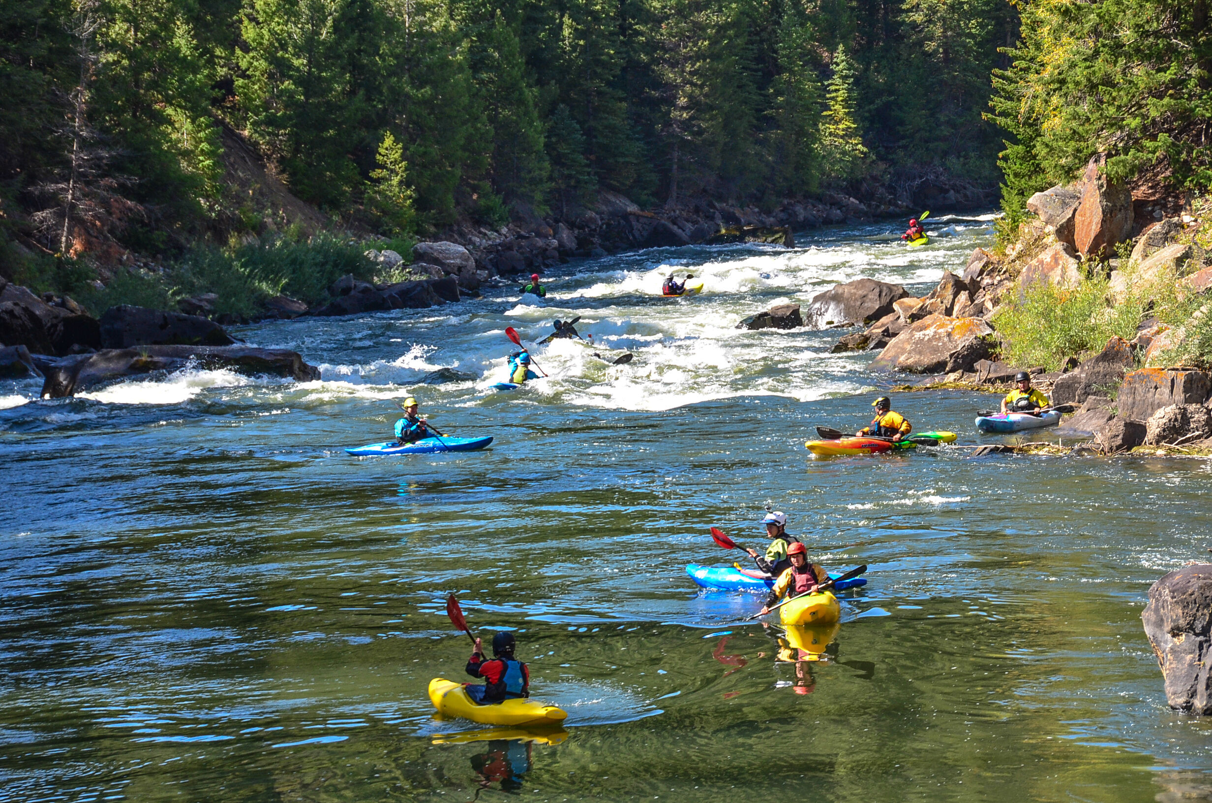 Image for Colorado Policy Strategist Job Opening